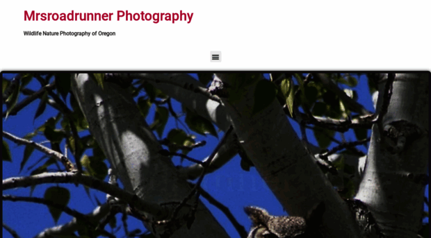 mrsroadrunner.com