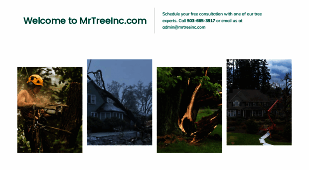 mrtreeservices.com