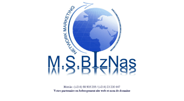 ms-biznas.com