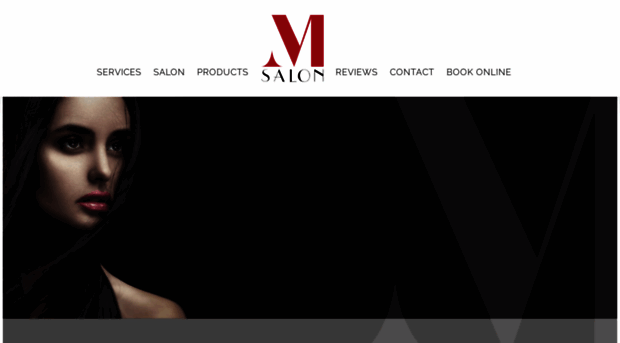 msalonaspen.com