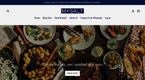 msalt.com