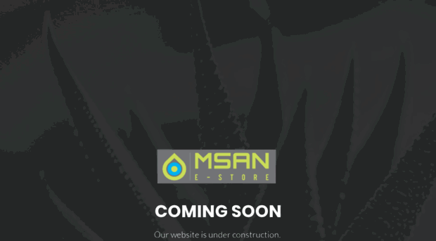 msanestore.com