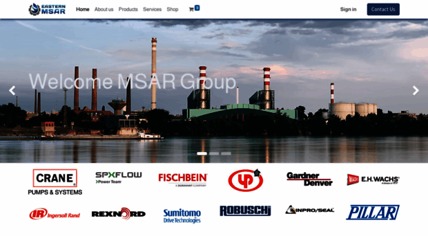 msargroup.com