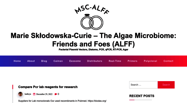 msc-alff.org