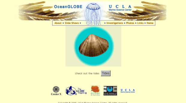 msc.ucla.edu