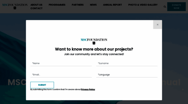 mscfoundation.org
