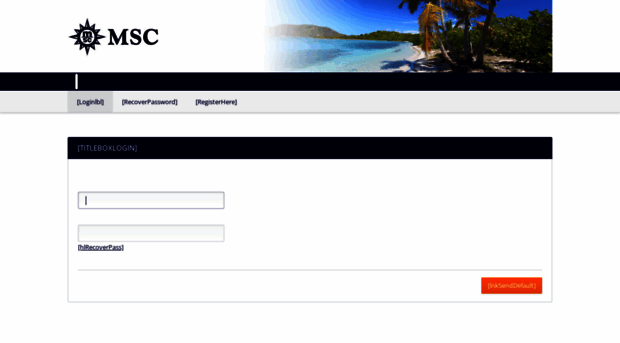 mscpartner.com