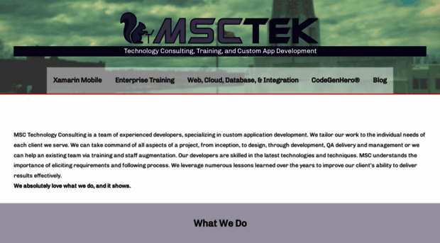 msctek.com