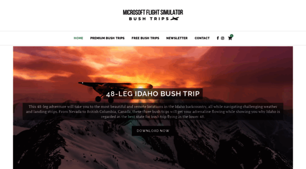 msfsbushtrips.com