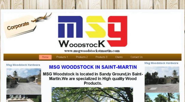msgwoodstockstmartin.com