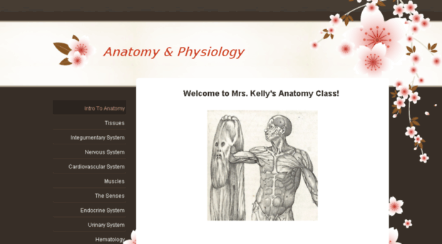 mskelly5.weebly.com