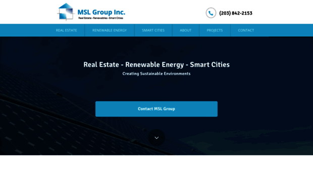 mslgroupinc.com