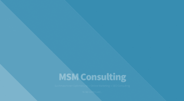 msm-consulting.de