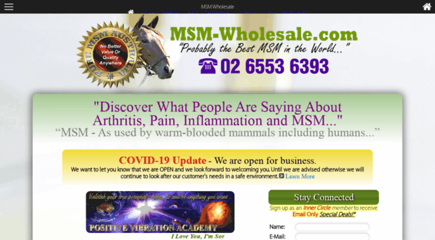 msm-wholesale.com