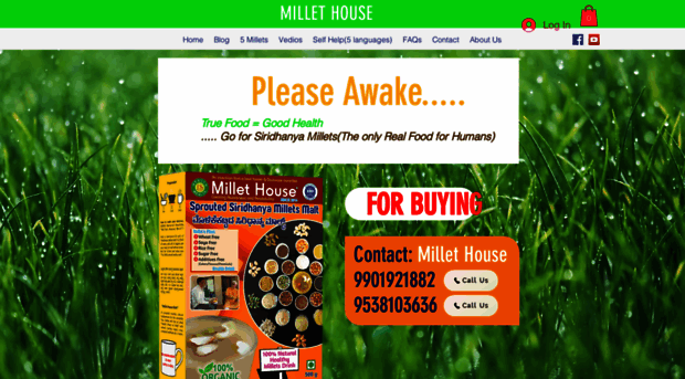 msmillethouse.com