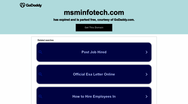 msminfotech.com