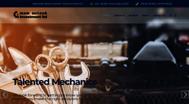 msminvestment.co.tz