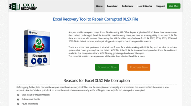 msoffice2007.excelrecovery.biz