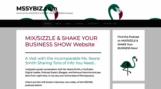 mssybiz.com