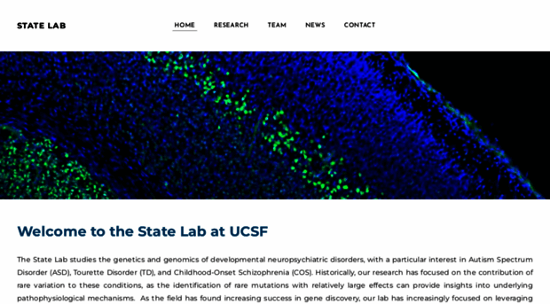 mstatelab.com