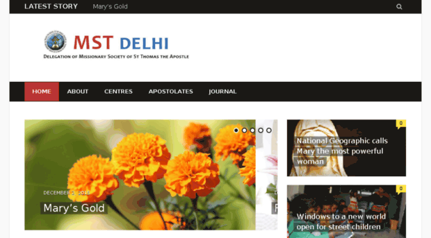 mstdelhi.in