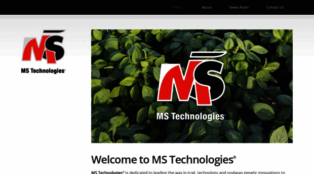 mstechseed.com