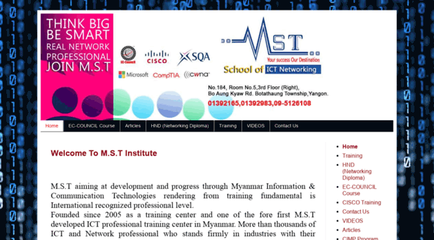 mstinstitute.net