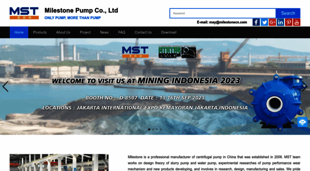 mstpumps.com