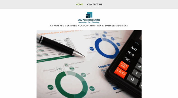 msuassociates.com