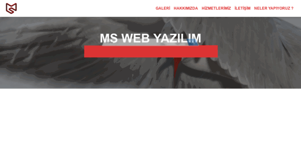 mswebyazilim.com