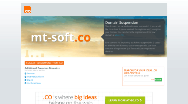 mt-soft.co