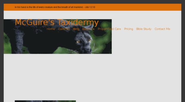 mtaxidermy.com