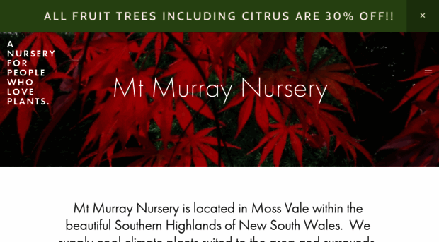 mtmurraynursery.com