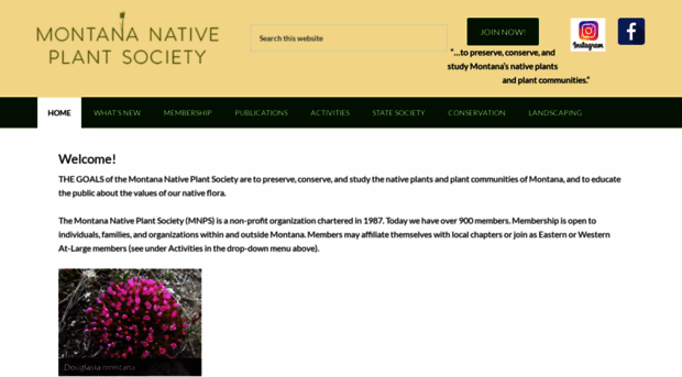 mtnativeplants.org