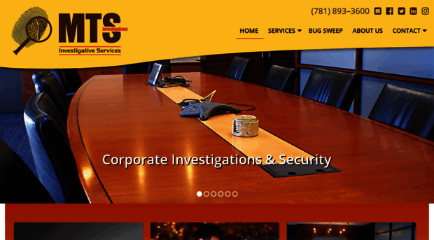 mtsinvestigations.com