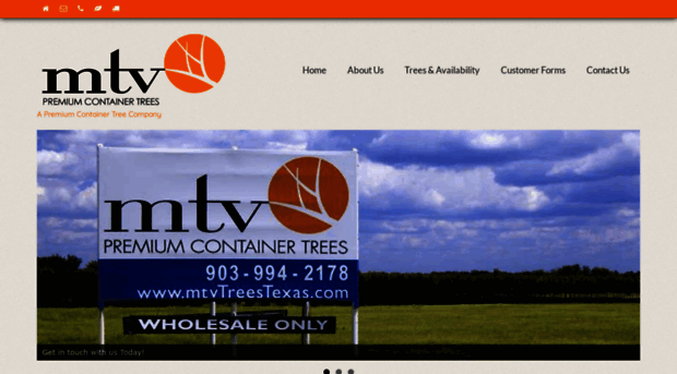 mtvtreestexas.com