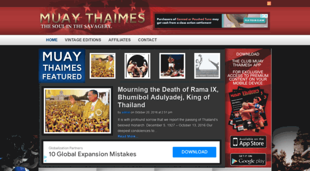 muaythaimes.com