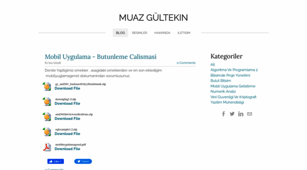 muazgultekin.weebly.com