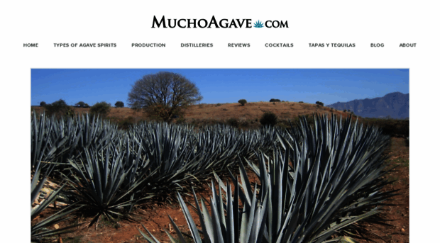 muchoagave.com