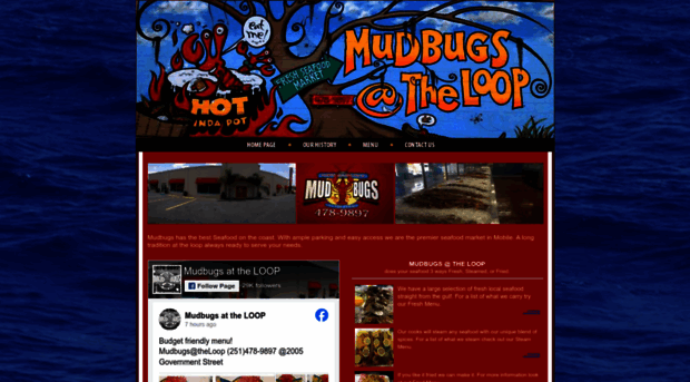 mudbugsattheloop.com