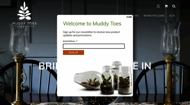 muddytoesterrariums.com