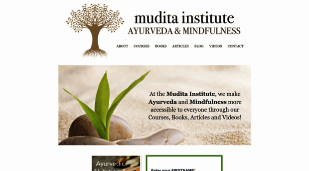 muditainstitute.com