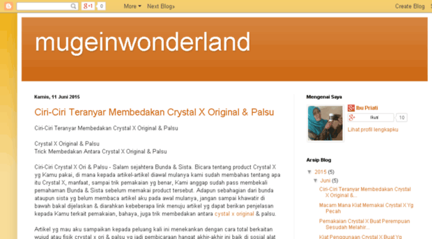 mugeinwonderland.blogspot.com