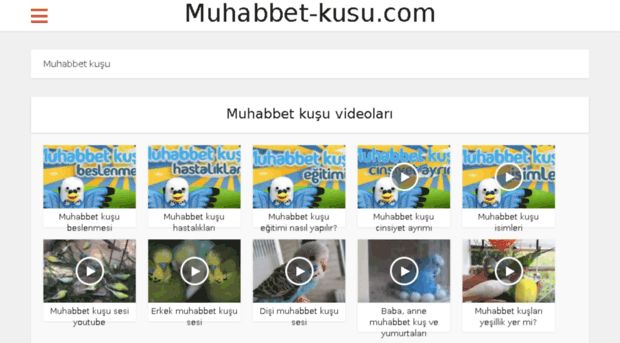 muhabbet-kusu.com