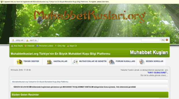 muhabbetkuslari.org