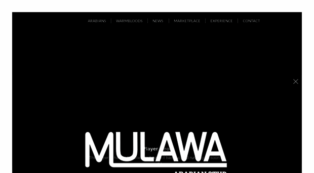 mulawaarabians.com.au