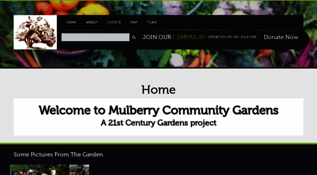 mulberrycommunitygardens.org