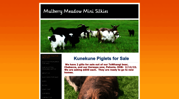 mulberrymeadowminisilkies.weebly.com