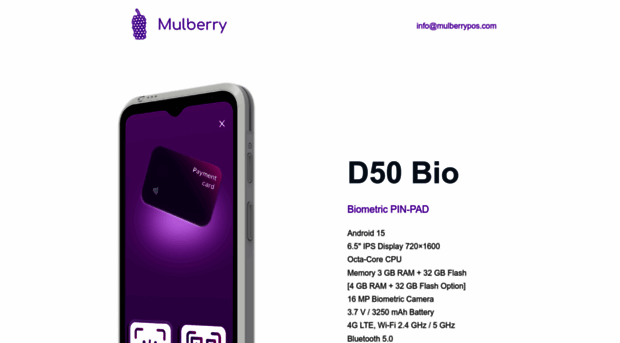 mulberrypos.ru