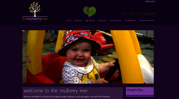 mulberrytree.ie